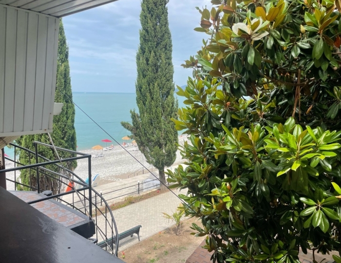 3-мест. 1-комн. станд. - Дом отдыха «Апсны-Абазашта» Гагра